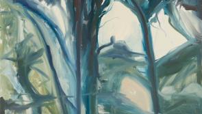 Roscommon Arts Centre to exhibit new work