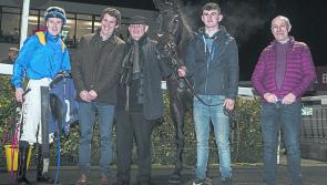 Success for Longford horse trainer Paul Flynn at Dundalk