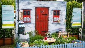Calling all Longford gardeners to apply for Bloom in the Park