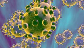 Coronavirus emergency sees visitor restrictions imposed at Longford nursing homes