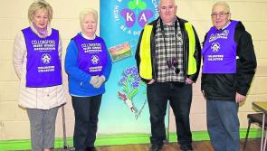 Longford Leader gallery: Longford Autojumble and Classic Car Show