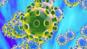 Longford Leader columnist Mattie Fox: Looking at what really matters through the prism of coronavirus 