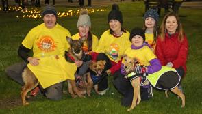 Pieta's Longford and Ballymahon Darkness into Light walks fall victim to #Covid19 coronavirus 
