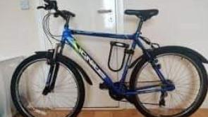 Appeal to help find 'diehard' Longford Town supporter's treasured bike