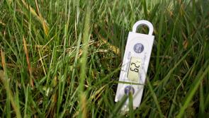 Longford Leader Farming: Achieving high performance from grass this spring