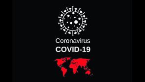 Urgent calls for Covid-19 business supports rollout