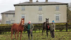 Cheltenham winner has Longford links