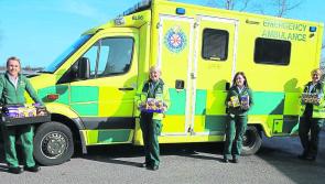 Twelve Covid-19 cases confirmed in county Longford