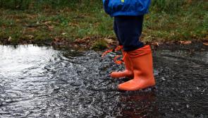 Longford Weather Alert: Weekend to slowly become milder but one day is not looking good weather wise