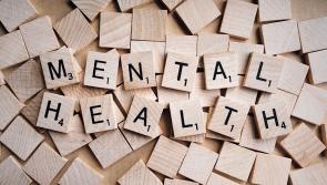 Mental wellbeing of frontline workers needs to be resourced says the Greens 