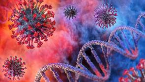 Almost 6,000 confirmed cases of Covid-19 announced today 