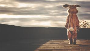 Important news for Longford children! Easter Bunny considered an essential worker during pandemic