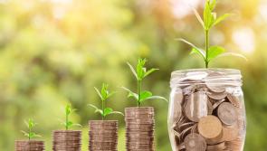 Green's say Business Continuity Voucher can help local businesses adapt in Covid-19 crisis