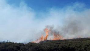 Public warned about high risk of forest and bog fires