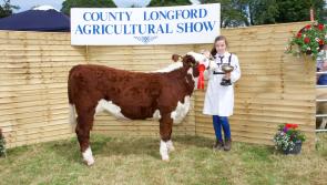 County Longford Agricultural Show postponed with organisers planning the 'show of shows' for 2021