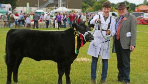 Granard Agricultural Show Committee has made  extremely hard decision to cancel 2020 show