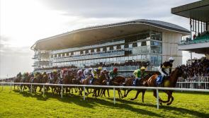 Galway Races Summer Festival will not be open to general public but races behind closed doors not ruled out 