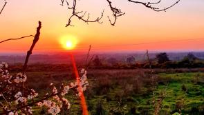 GALLERY 3 | A selection of Longford County Council and Longford Leader 'Love Your Home' photography entries
