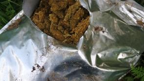 €1.24m in cannabis herb seized by Gardaí 'in a ditch' 