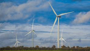 An Bord Pleanála delays decision on Longford wind farm development 