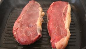 Beef farmers at breaking point