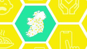 Longford County Council launches ‘In This Together’ campaign 