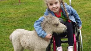 Gallery 9 | A selection of beautiful Longford images from our Love Your Home photography competition