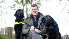 Roy Keane urges support for Irish Guide Dogs for the Blind's digital fundraiser on Friday, May 8