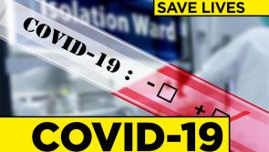 Workers at Ballymahon meat plant tested for Covid-19