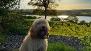 GALLERY 12 | A selection of your Love Your Home photography competition images