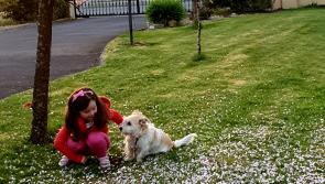 GALLERY 15 | Longford County Council and Age Friendly Alliance Love Your Home photography competition