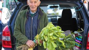 Funeral arrangements announced for legendary Longford Farmers Market figure Ned McEvoy