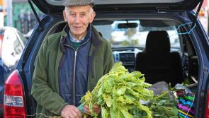 Longford Leader columnist Mattie Fox: Late Ned McEvoy was a hard working  and enterprising man