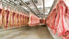 WARNING: All Irish meats processed in unapproved establishment recalled by safety group