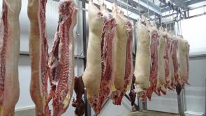 Longford workers took part in critical report on meat industry