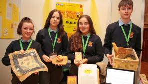Young Longford entrepreneurs bid for success in ‘virtual' national final