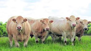 Longford agricultural students encouraged to apply for John Feely Scholarships