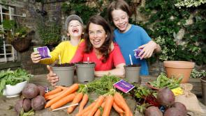 Energia to give away 1,000 home GROWBoxes worth €45,000 to help Get Longford Growing