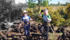 Bog pictures wanted! Show us what's to see working on Longford's Costa Del Sod this year 