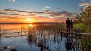 GALLERY 20 | A selection of Longford Love Your Home photography competition entries