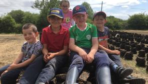 GALLERY 6 | Bringing the turf home from Longford's Costa Del Sod 