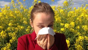 Healthy Eating: How your diet can help relieve your hayfever symptoms