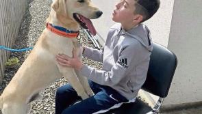 Novel head shave fundraiser in memory of brave Killashee schoolboy Cian Neary