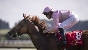 Fifteen runners declared for Dubai Duty Free Irish Derby