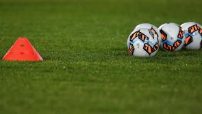 FAI confirm dates for matches and full contact training