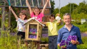 Applications for Community Seed Libraries wanted from Longford
