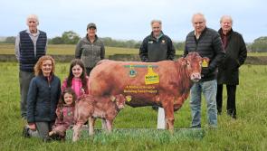 Midland Lions Clubs Hooves4Hospice fundraising project passes a major milestone