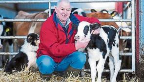 Longford Leader Farming: Appeal to dairy farmers to donate one day’s milk for Yemen famine relief 