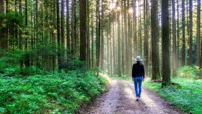 Longford residents encouraged to visit Coillte Forests for National Walking Day
