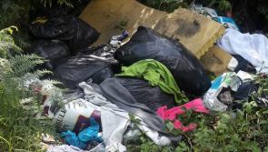 Illegal dumping in Longford hits taxpayer for €330k since start of year